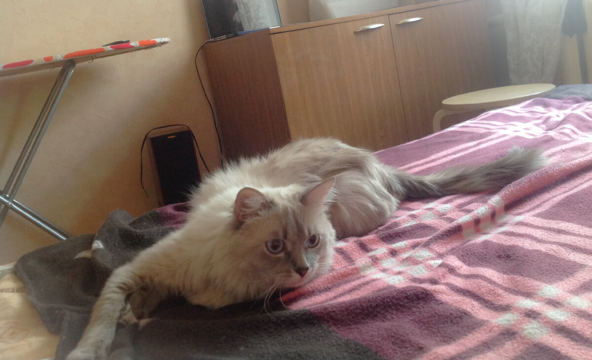 Спустя 1 месяц