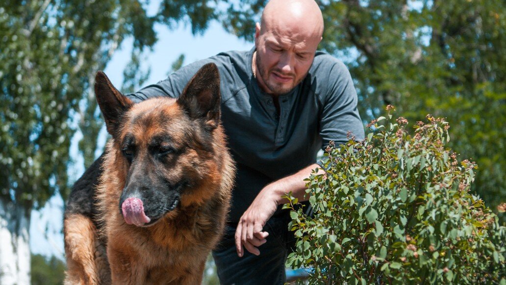 пес без ютуба. пес без ютуба. пес без ютуба. пес без ютуба. пес без ютуба.