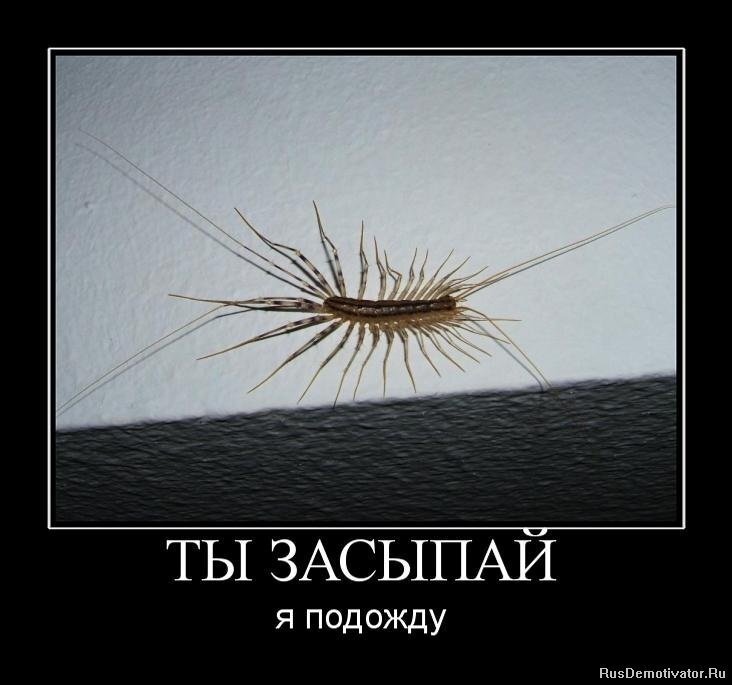 Взято с просторов интернета