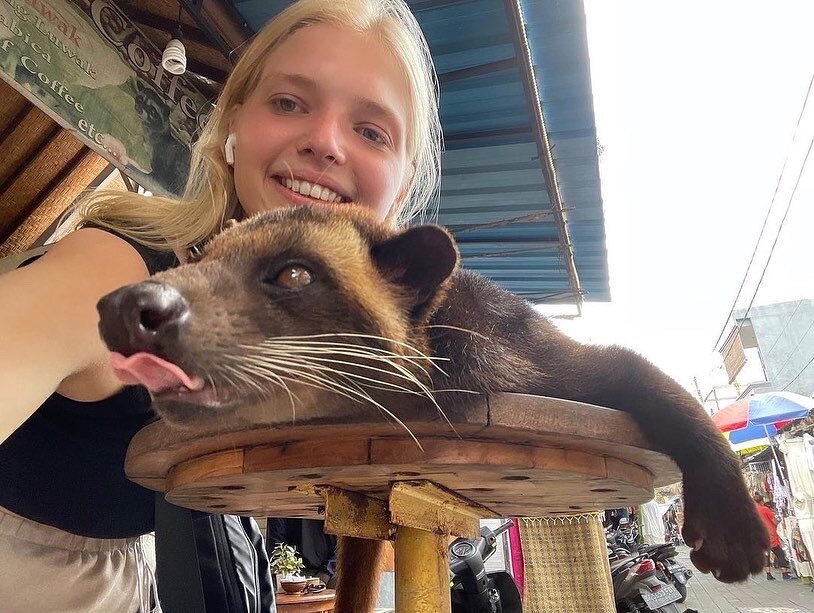 Малыша кормят, поят и его лежбище находится напротив вентилятора. Ребята в кофейне заботятся о циветте. А она привлекает таких любознательных туристов к себе на кофе.