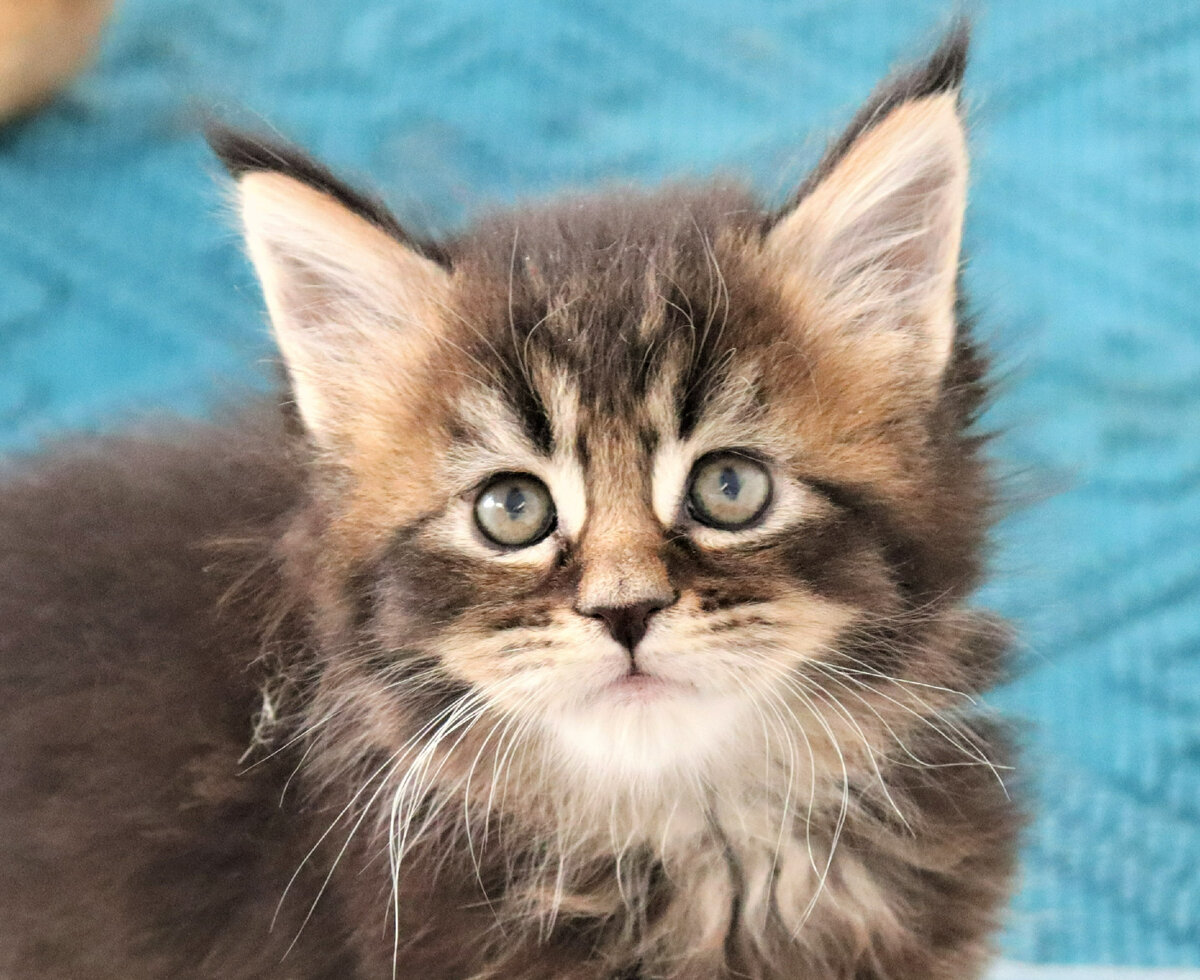 Фото из личного архива.