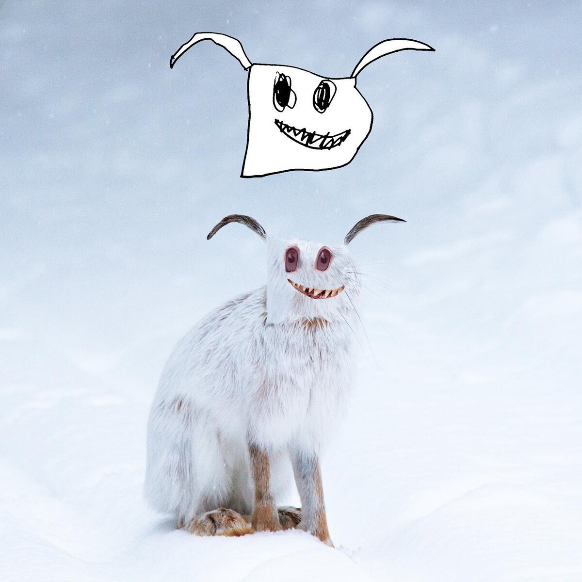 Автор Том Кёртис (Tom Curtis) 