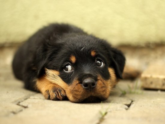 Фото с просторов