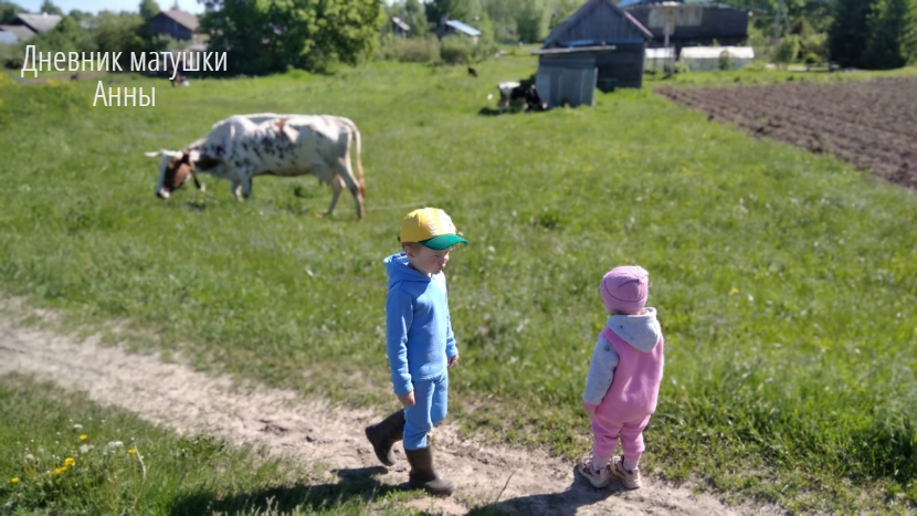 внучата и Милка