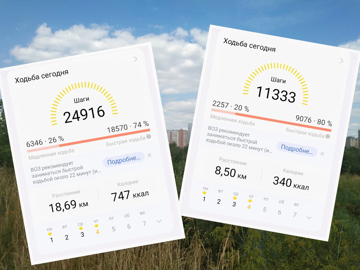 Слева – общий итог за день, справа – результат утренней прогулки по району.