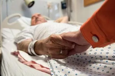 из интернета