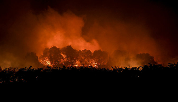 Фото: france24.com