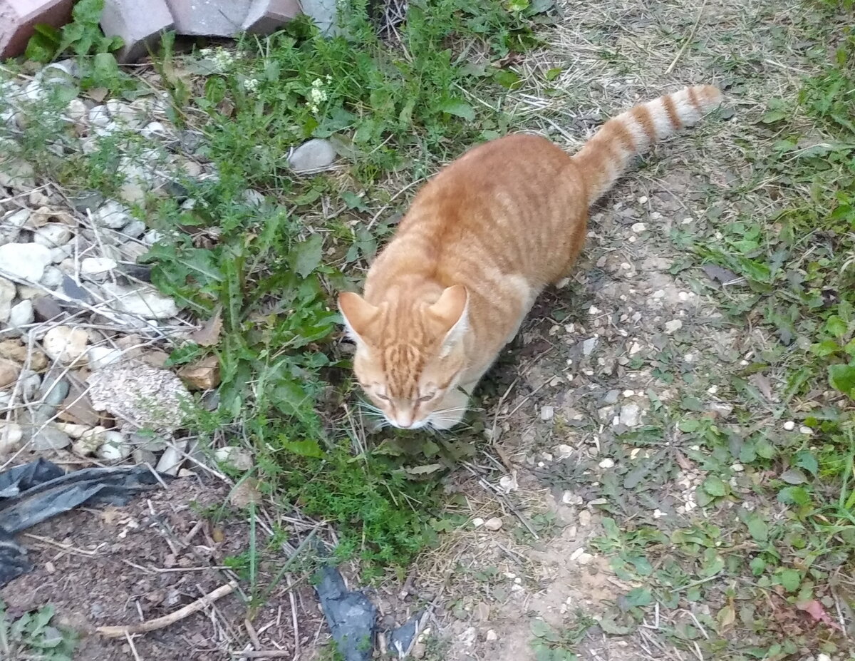 личное  фото.