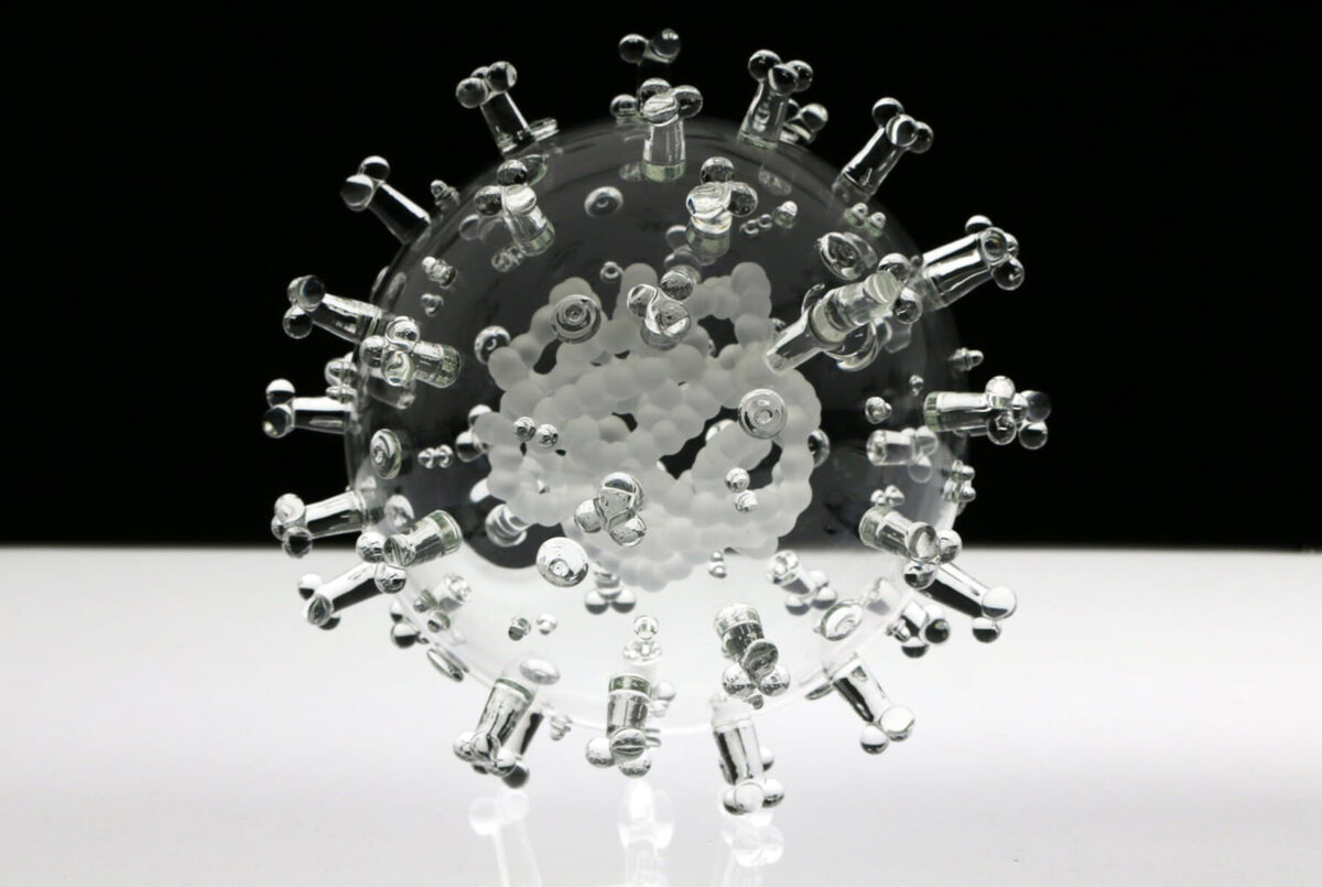 Коронавирус SARS