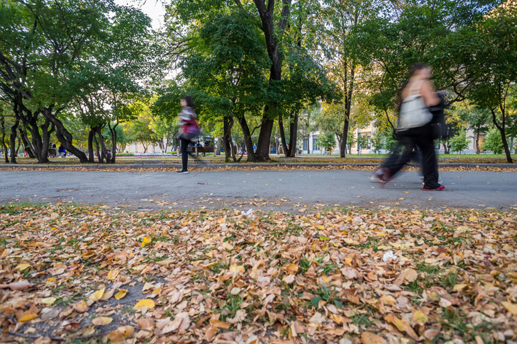    Фото Андрея Заржецкого