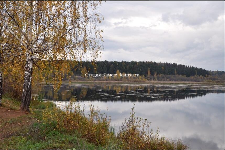 Сельский пруд осенью