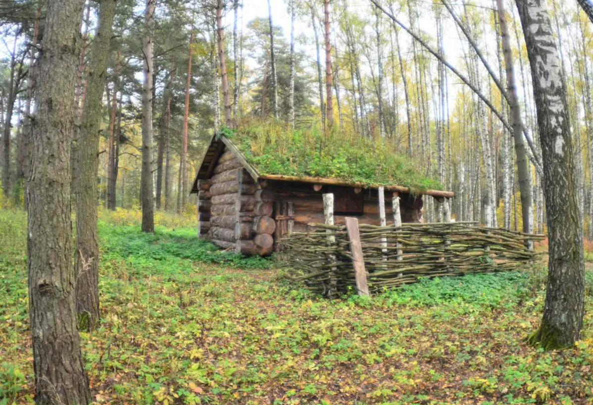 Яндекс картинки