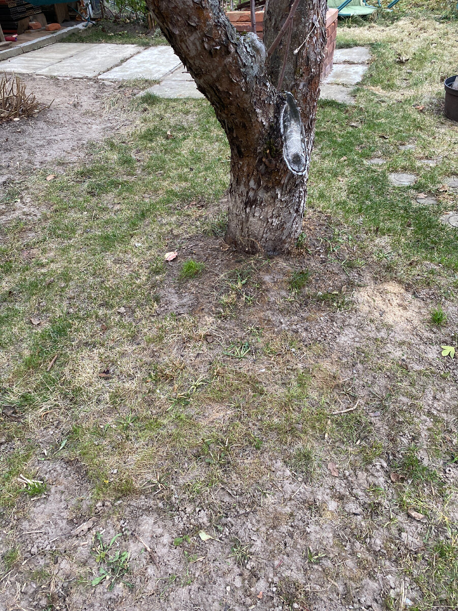 Чисто и аккуратно