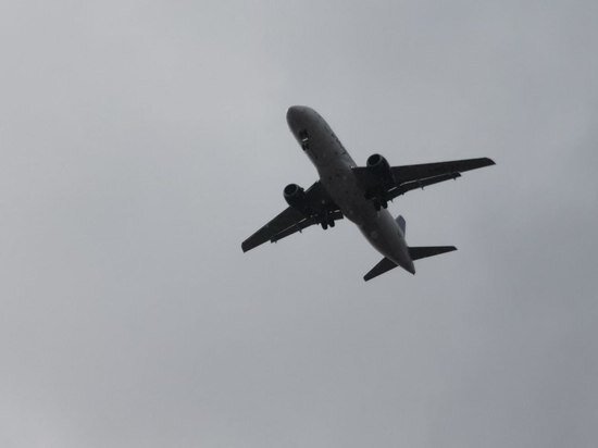     Продолжается опрос «Готовы к полетам из Хабаровска в Таиланд?» / Анастасия Дудалова