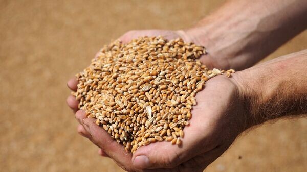   © РИА Новости . Виталий Тимкив