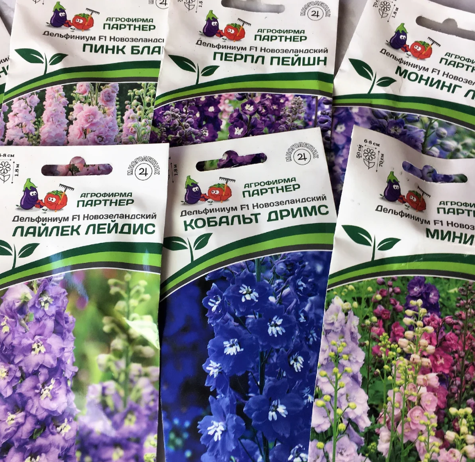 Дельфиниум многолетний семена фото