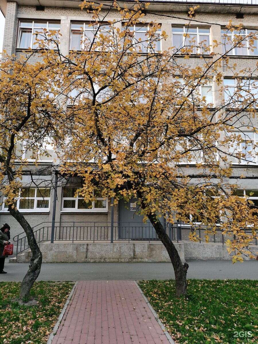 Моя школа ленинский просп 49в фото
