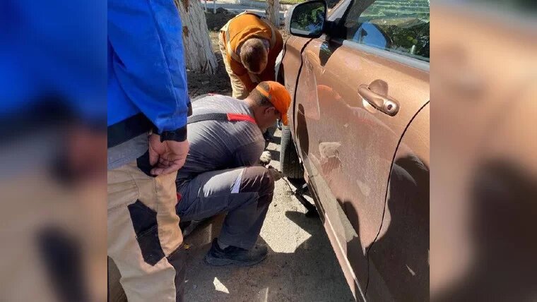    Фото: соцсети