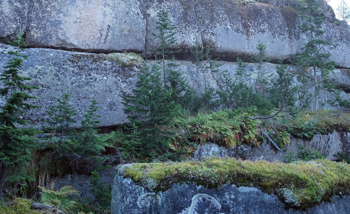 Мегалиты горной шории фото