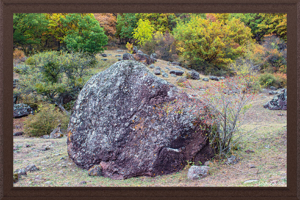 Огромный валун в человеческий рост на границе леса и «каменного сада» 
