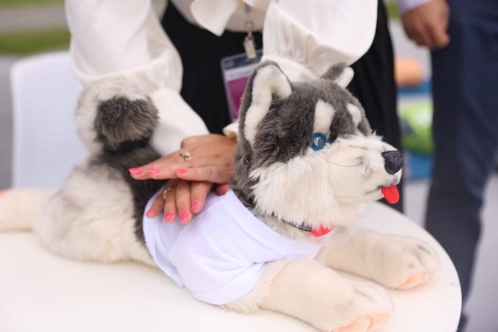    Фото: минэконом Амурской области