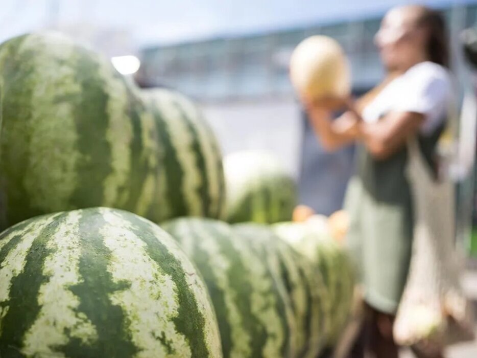 Фото: mosregtoday.ru