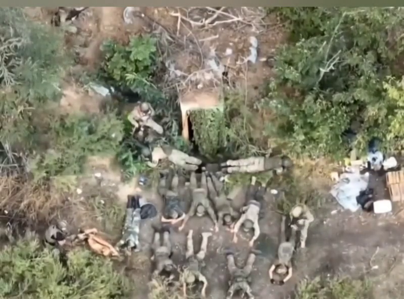 Фото: Скриншот видео 