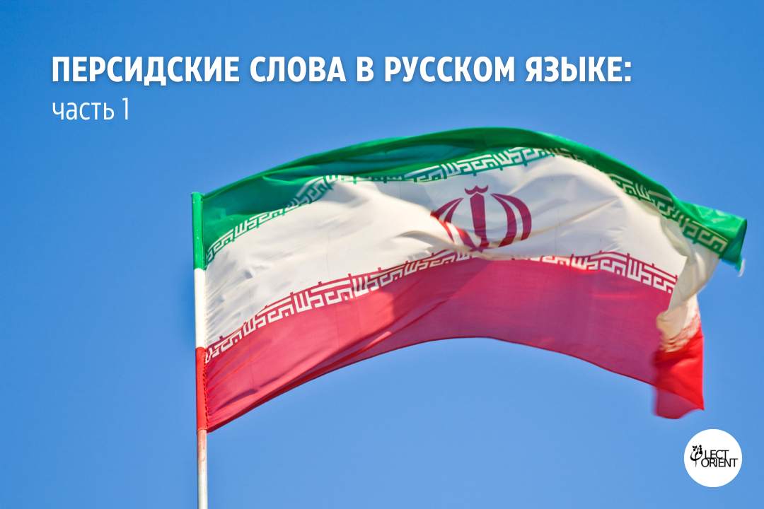 Фото взято из открытого фотостока Canva