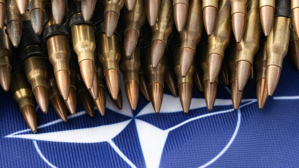    Фото: Unsplash Август Макаров