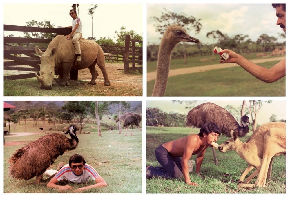 Зоопарк Пабло Эскобара