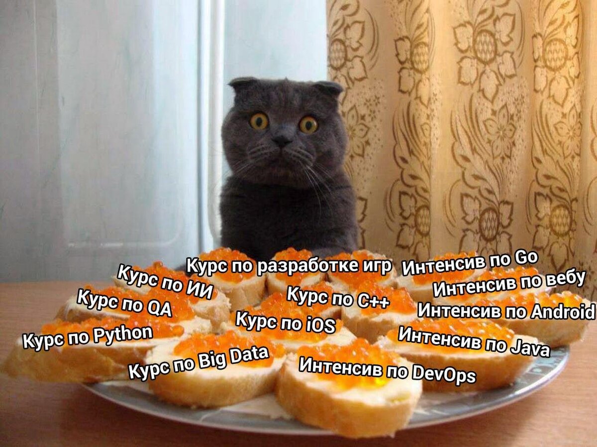 Из телеграм-канала "IT-юмор"