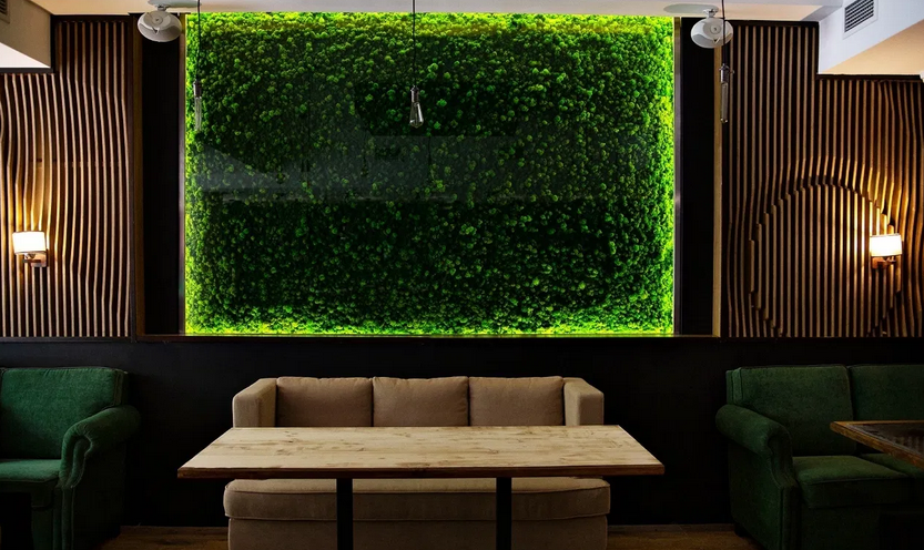 Стабилизированный мох