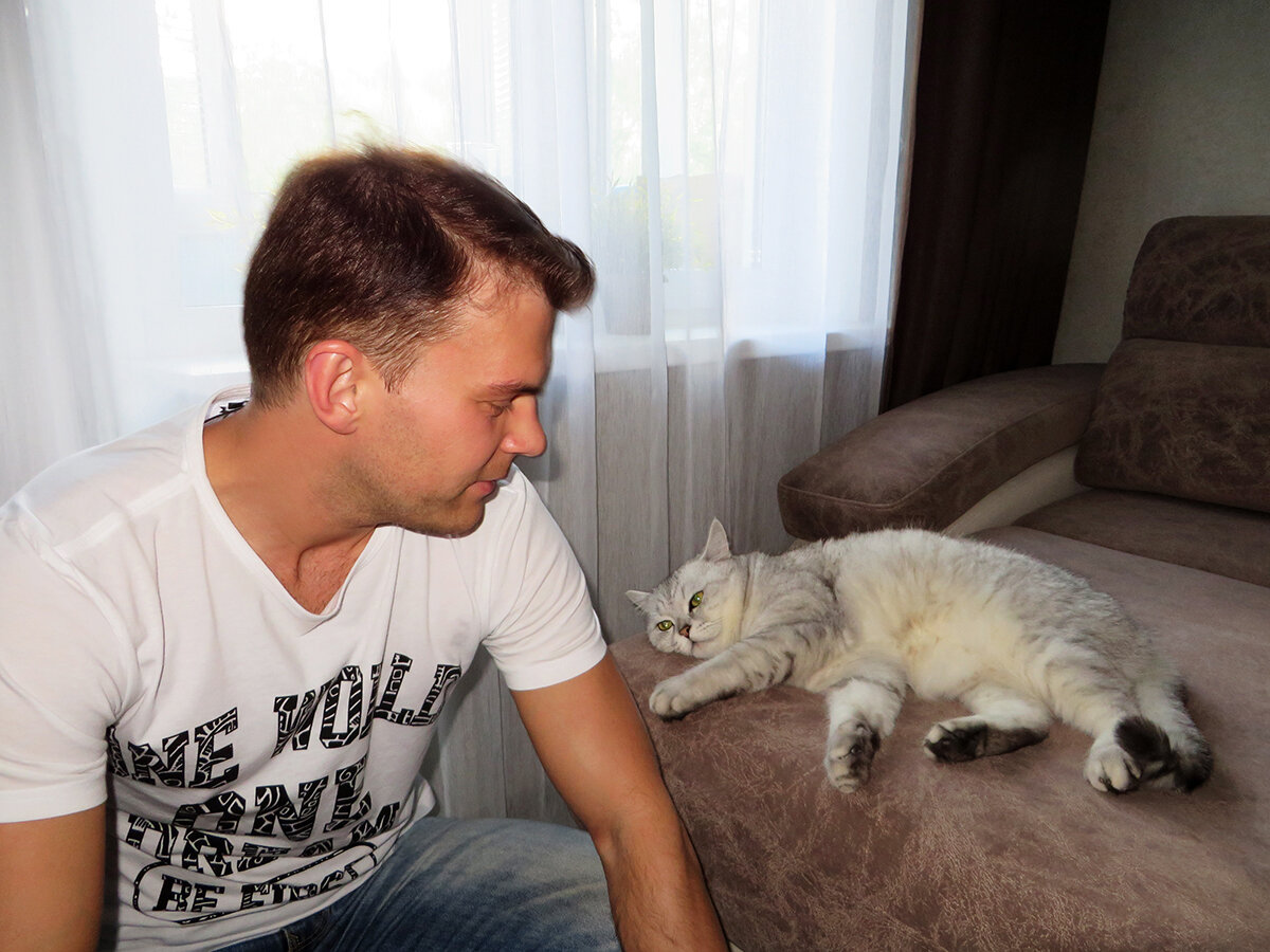 Я у друзей в гостях. Кот Ирбис. Июнь, 2017 год