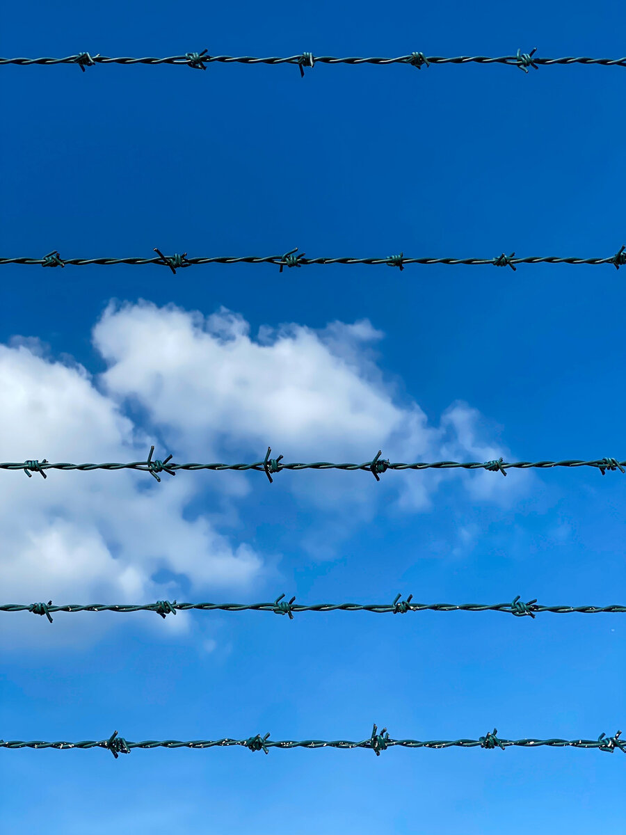 Фотография с pexels.com