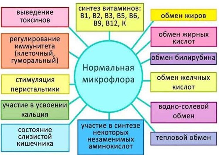 Хотите Дожить До Ста Лет? Берегите И Лелейте Микробов Своего.