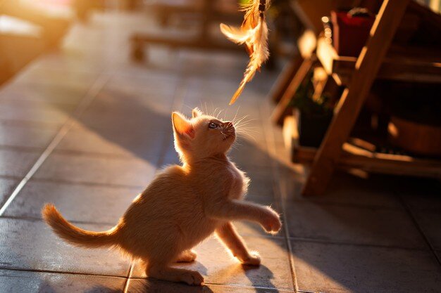 Фото: freepik.com