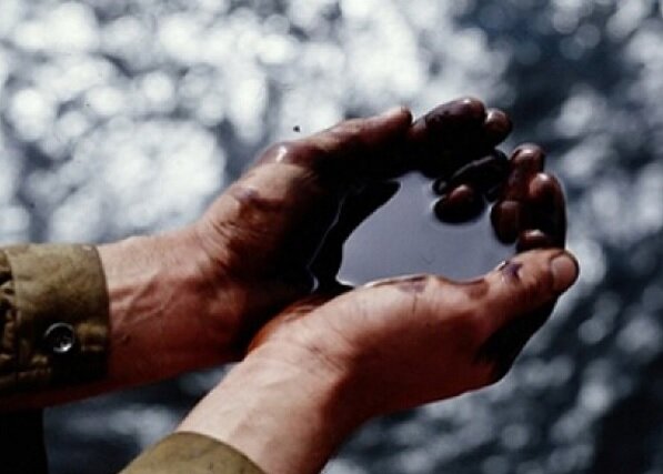 Фото свободно взято в сети Интернет