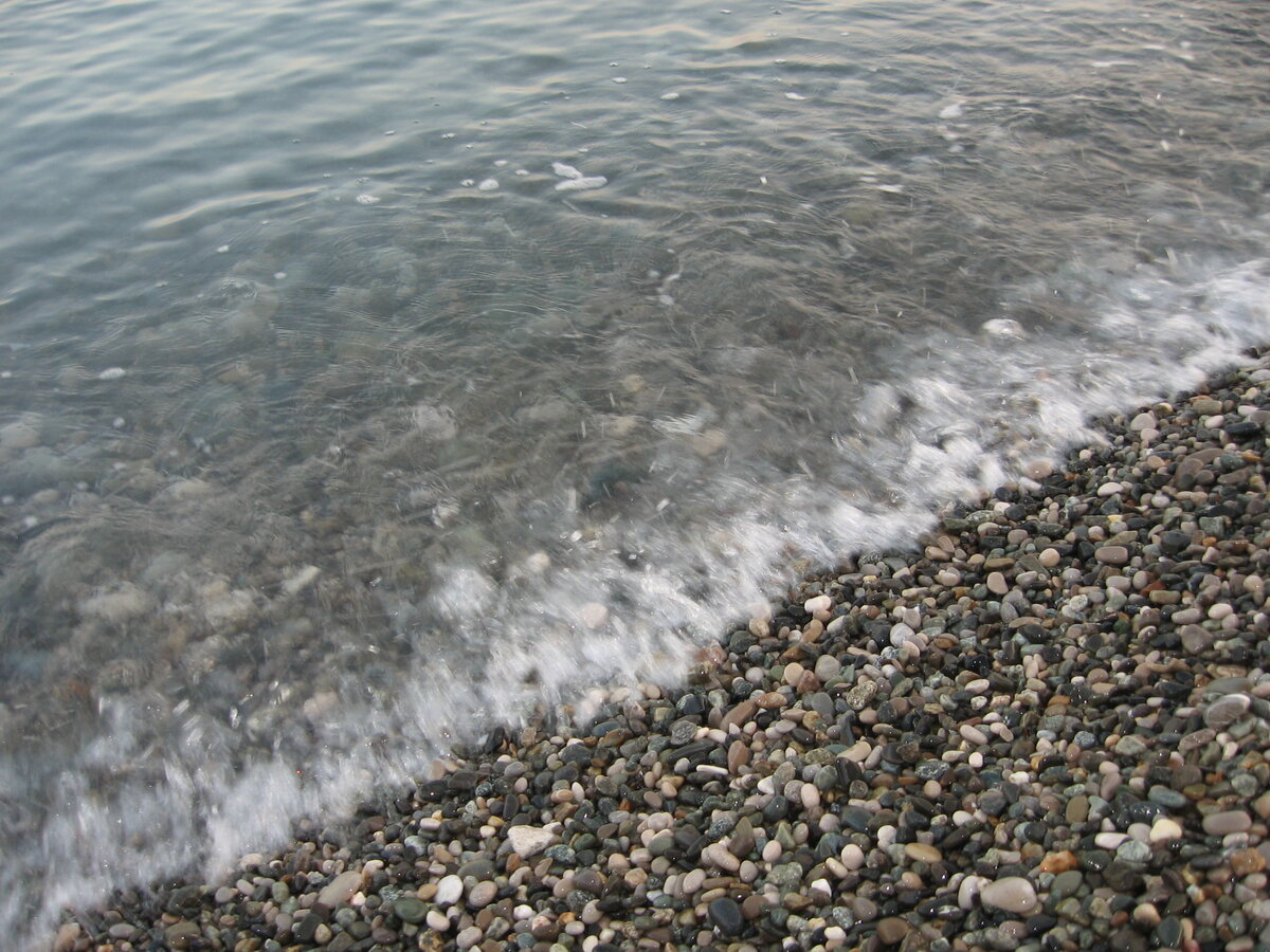 Пицунда Абхазия сосны море