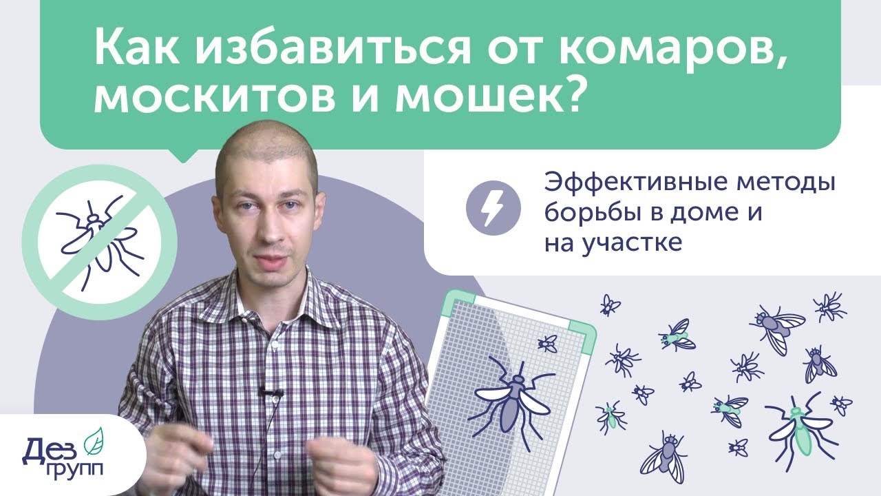 Как избавиться от комаров в квартире: от народных средств до передовых технологий