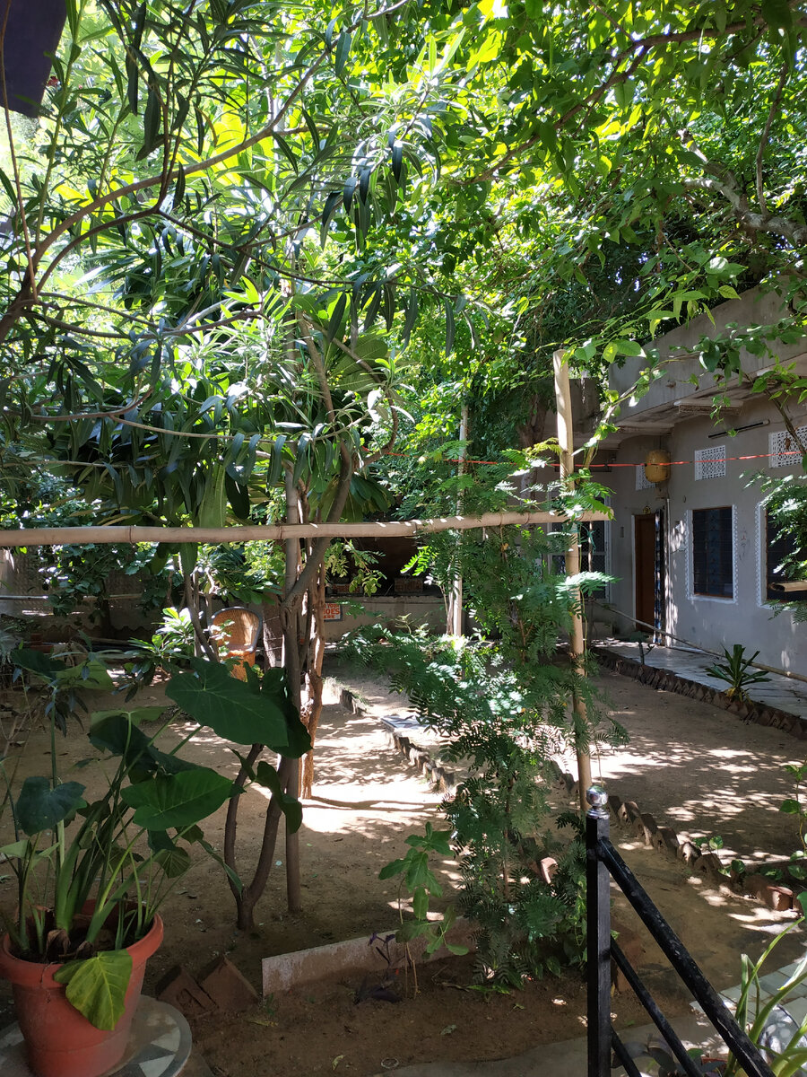 садик во дворе