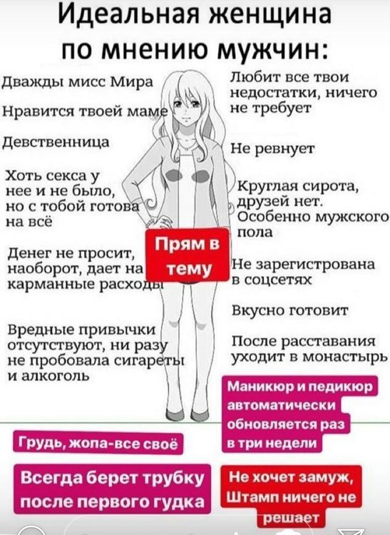 Признаки нормальных женщин. Идеальная женщина. Список идеальной девушки. Лучшие качества женщины по мнению мужчин. Идеальный мужчина по мнению женщин