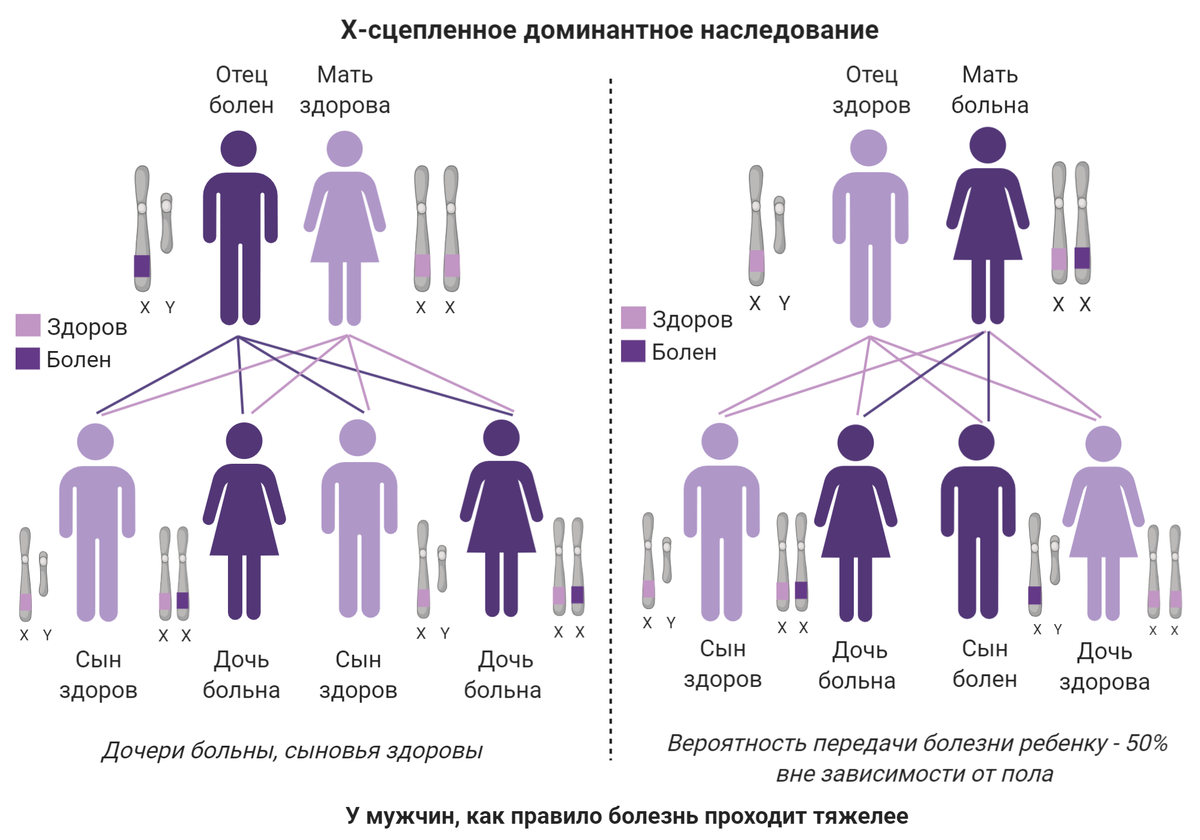 Болезнь мари. Гоносомный Тип наследования. Схема наследования болезни. Шарко Мари тута Тип наследования. Схема наследования Гена.