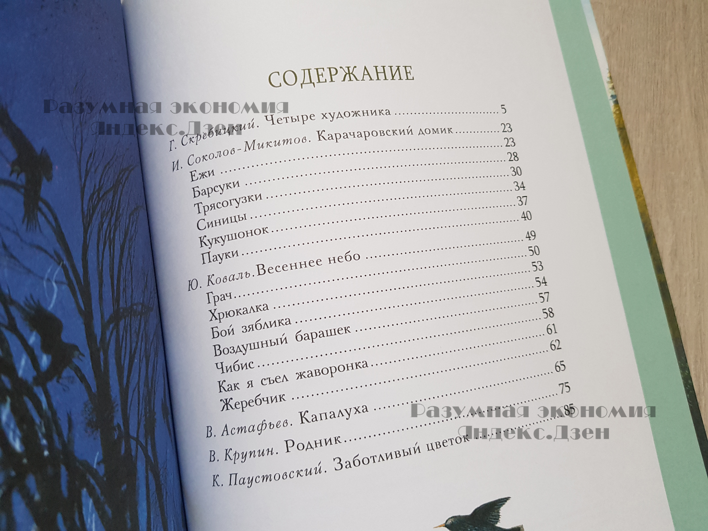 Потратила 10 тысяч на книги за пару недель. Обзор, магазины, цены34