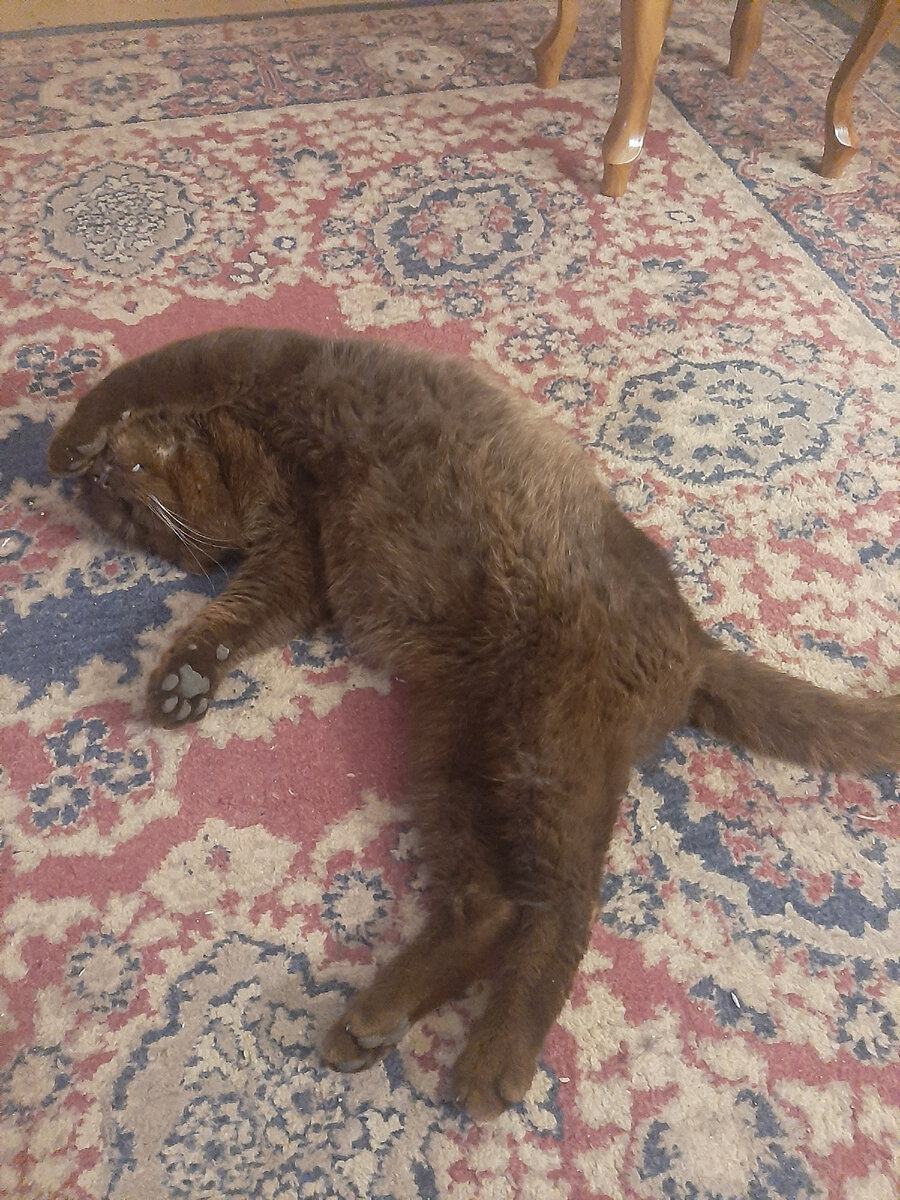 Шарапов собственной персоной