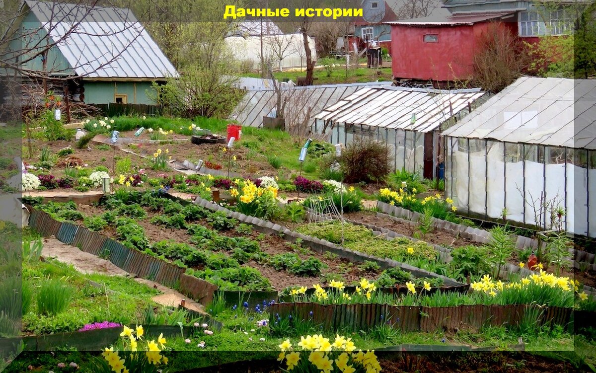 https://vk.com/photo-159774511_457247288