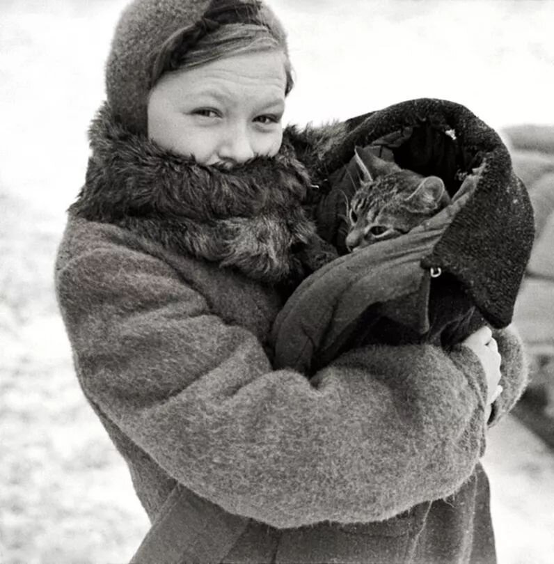 Фотография из открытых источников интернета