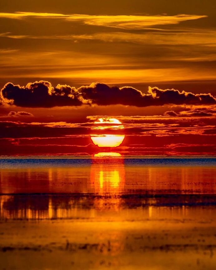 Фотография взята из открытых источников