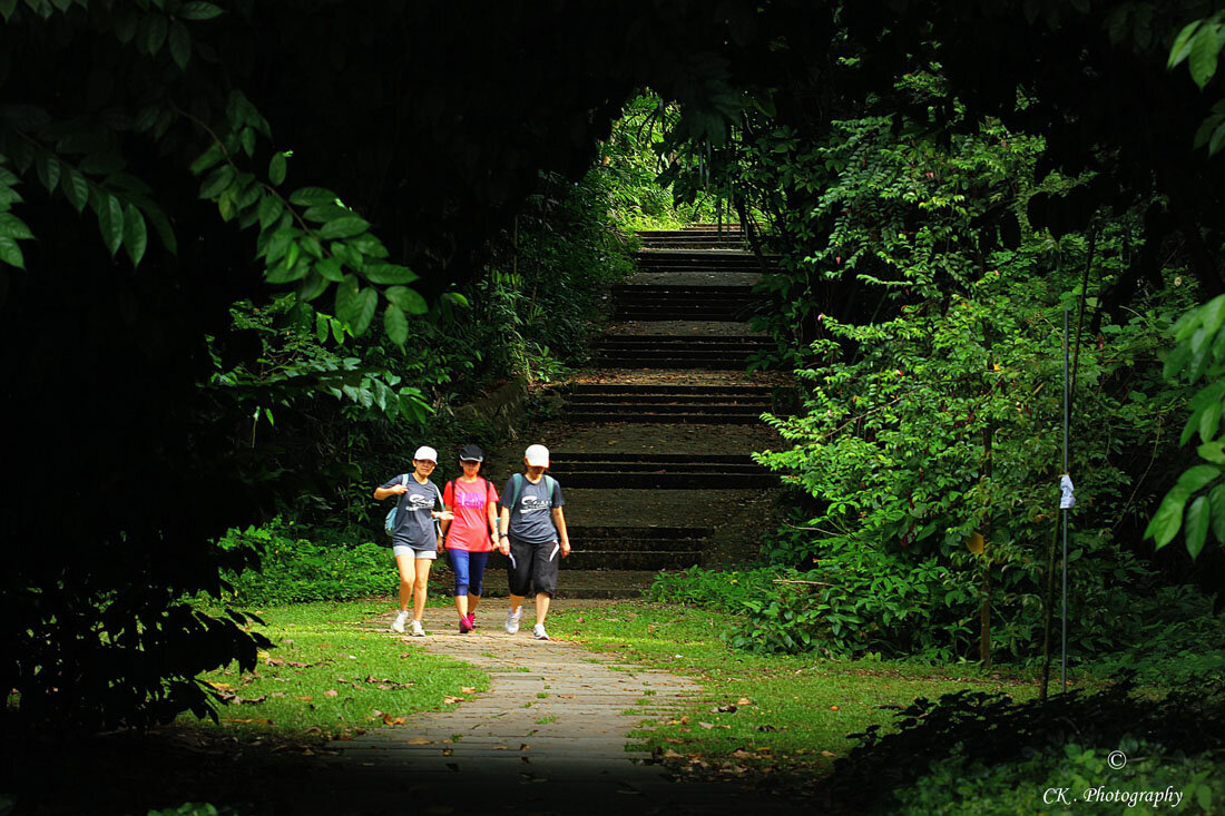 Фото со страницы Парка Сокольники Facebook (https://www.facebook.com/ParkSokolniki)