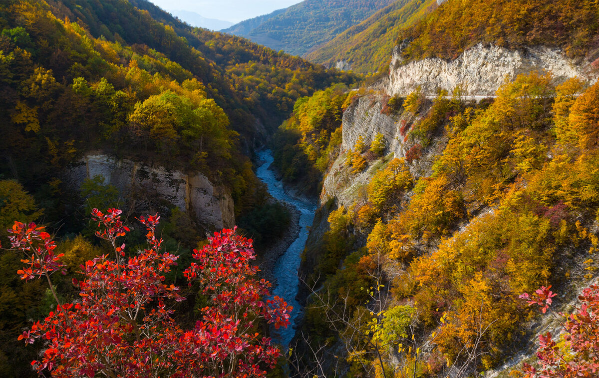 Горное ущелье Чечня