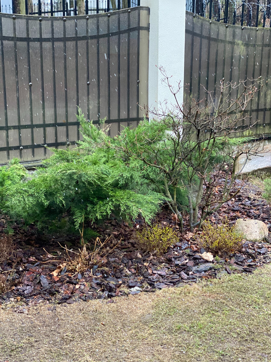 Это ещё одна его небольшая часть. Чистка, обрезка, уборка мульчи и всей территории.